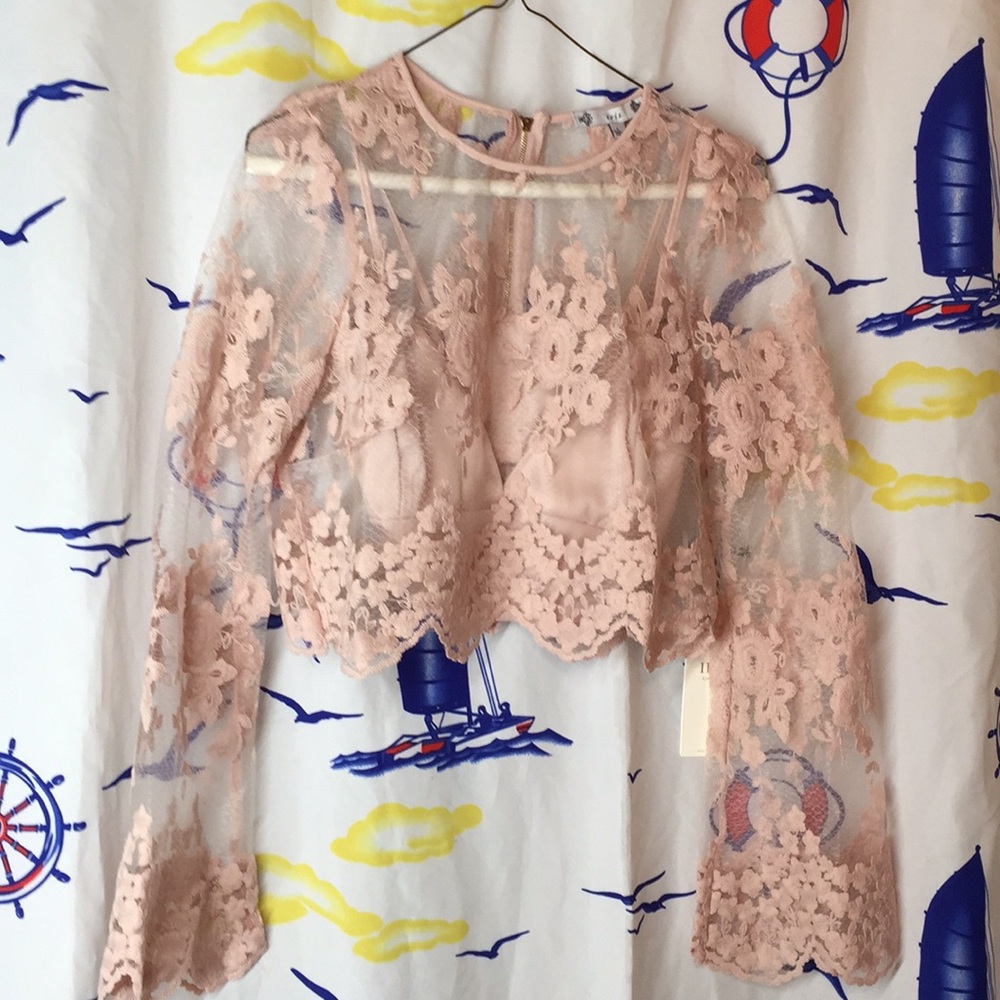 Iris Sheer Crop Top